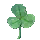Eucalyptus Leaf icon