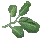 Swamp Vine icon