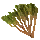 Allspice icon