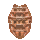 Plague Mites icon