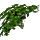Aderirse Bur icon