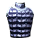 Diminished Divine Schism Chest Armor icon