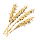 Barley icon