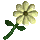 Wax Flower icon