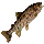 Greengill Salmon icon
