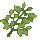 Mistletoe icon