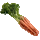 Carrot icon