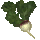 Turnip icon