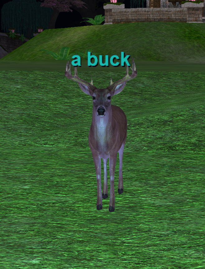 a buck screenshot