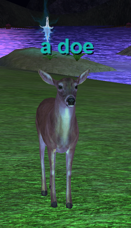 A doe screenshot